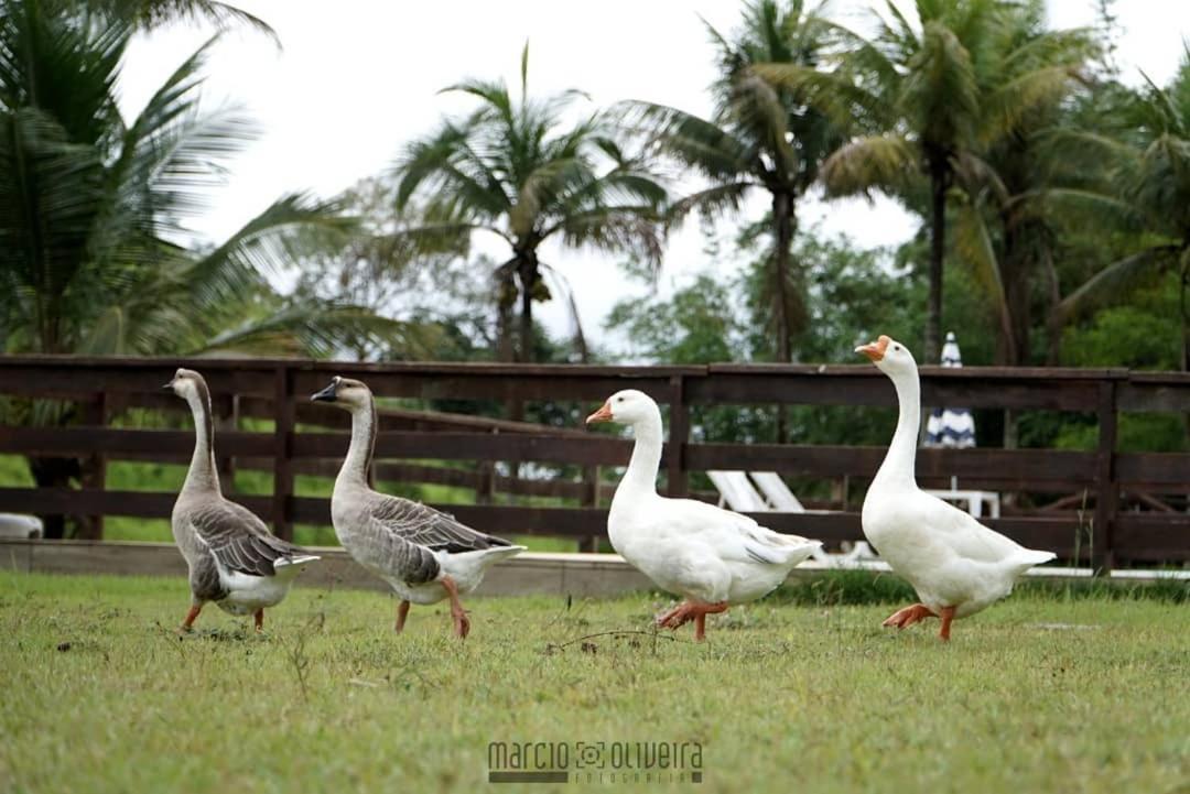 Fazenda Lagoa Azul Silva Jardim Exterior foto